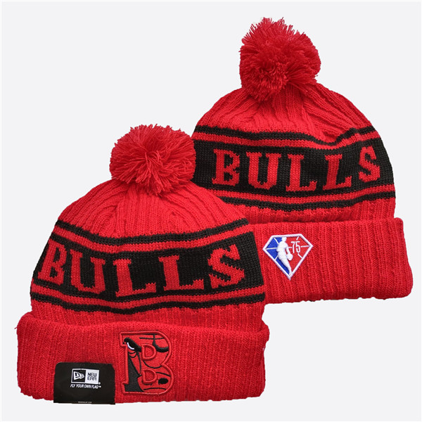 Chicago Bulls 2019 Knit Hats 046